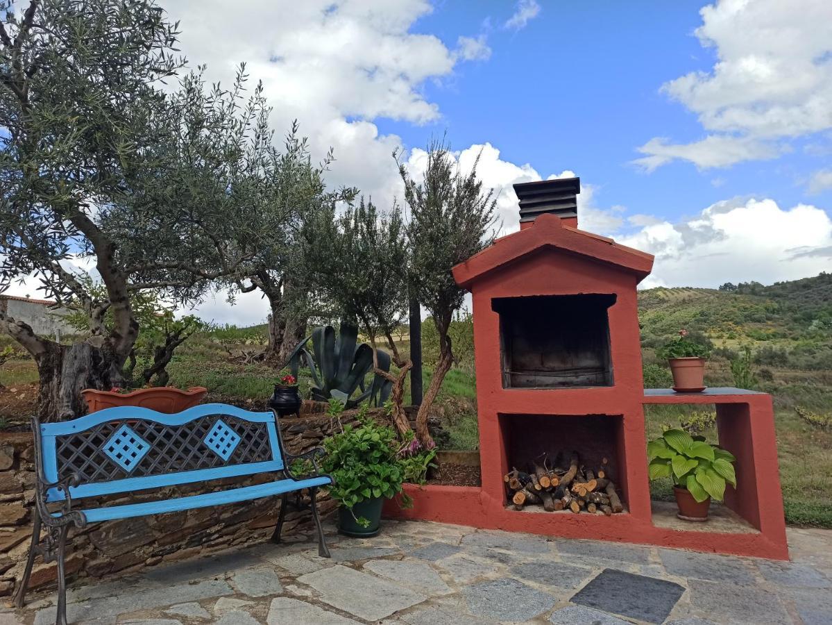 Olivos