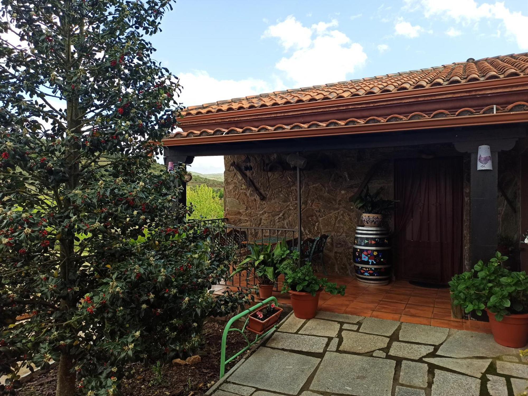Olivos Sotoserrano