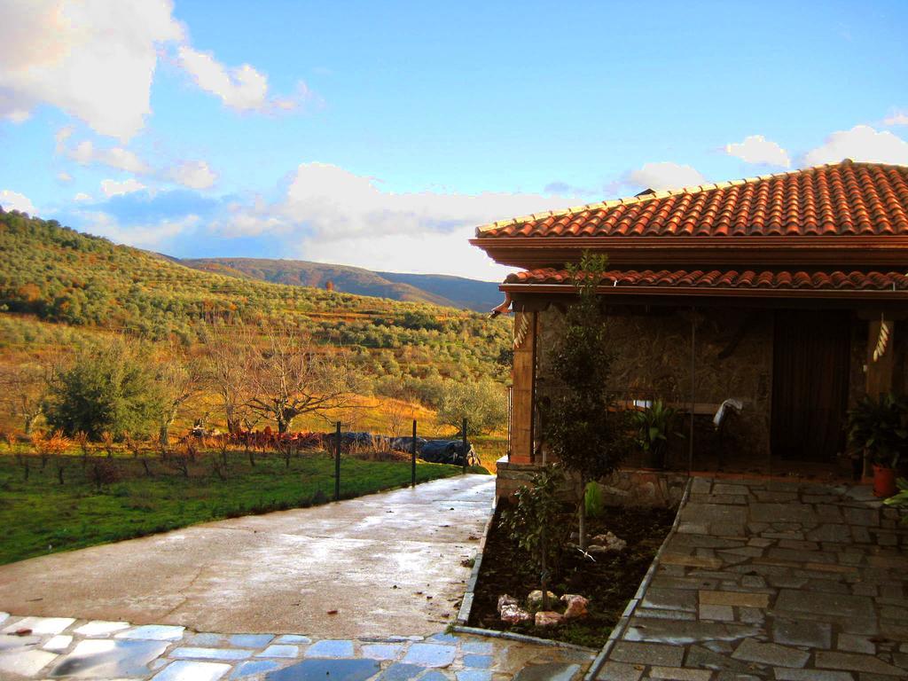 Olivos Holiday home Sotoserrano